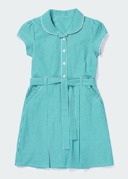 Green Gingham dress