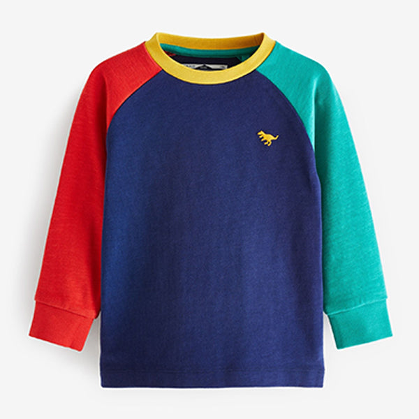 Blue Multicolour Cosy Colourblock Long Sleeve T-Shirt