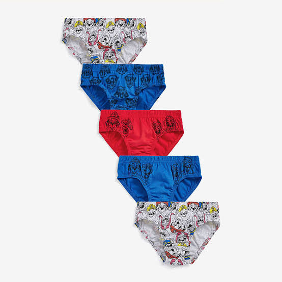 Paw Patrol Brief 5pk  493949